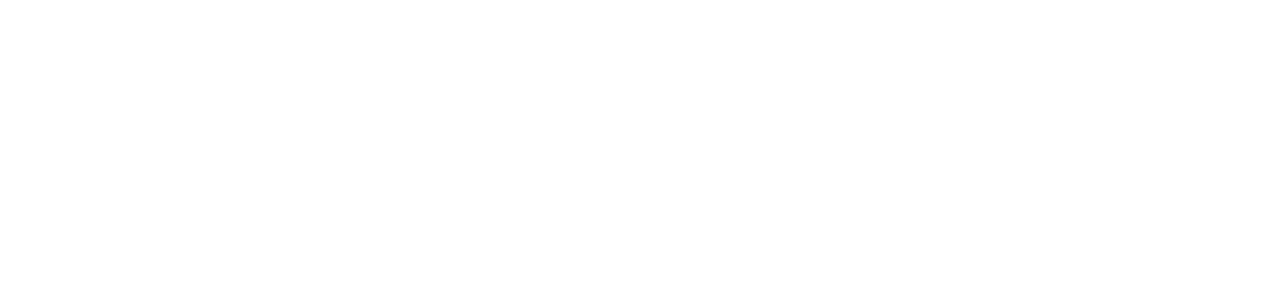 Meir logo
